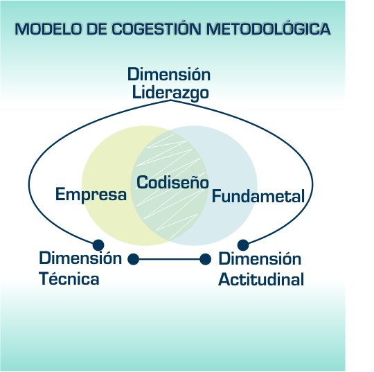 Modelo de Cogestión Metodológica – Fundametal