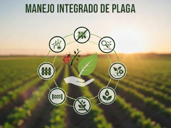 MANEJO INTEGRADO DE PLAGAS
