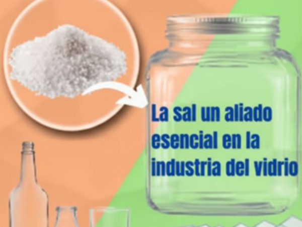 MANEJO DE VIDRIO Y PLÁSTICO DURO EN PLANTAS PRODUCTORAS DE SAL