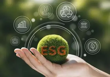 Fundamentos del Sistema de Gestión Integrado y Sostenibilidad